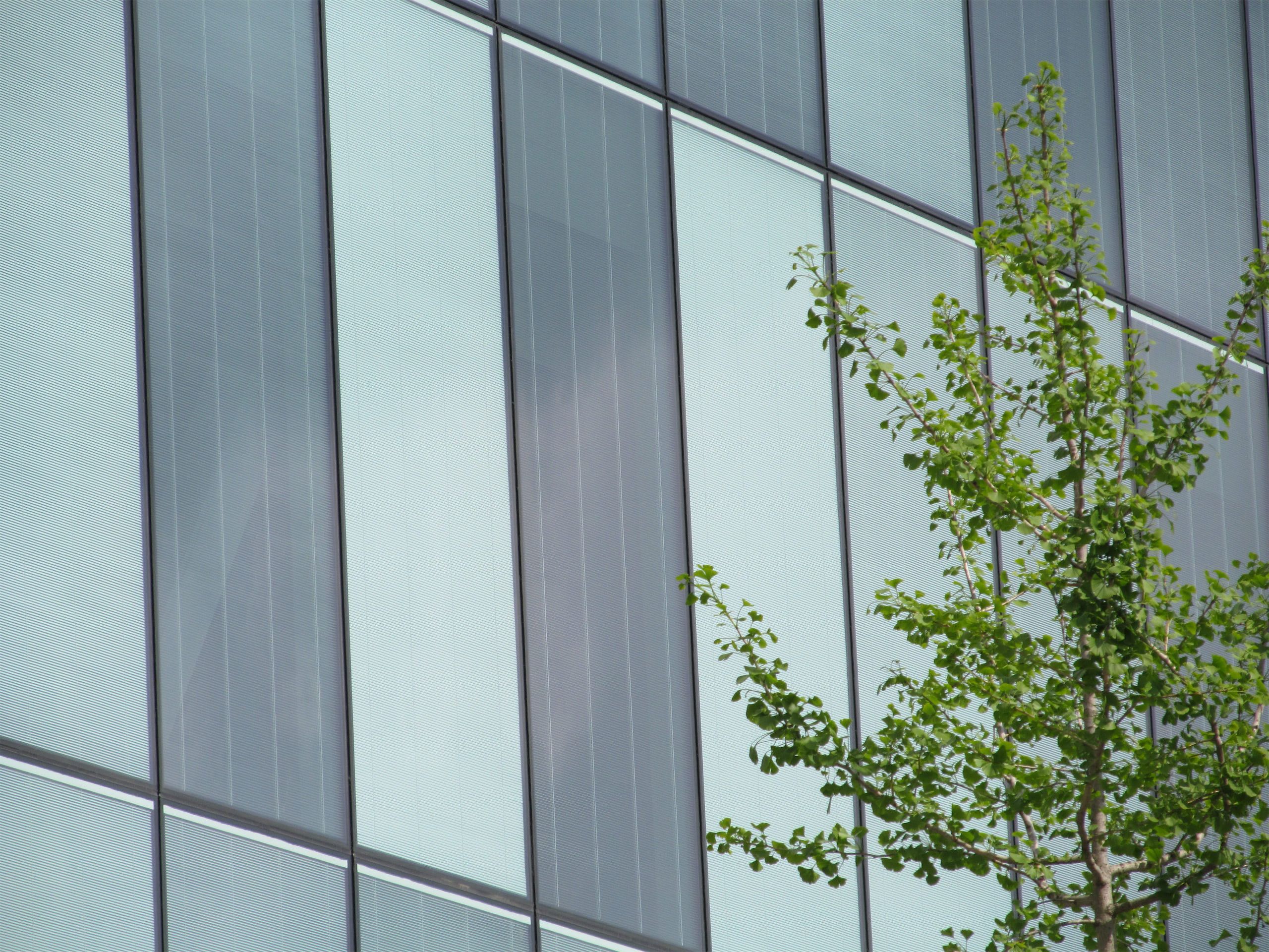 Immagine 3 - Parallelo