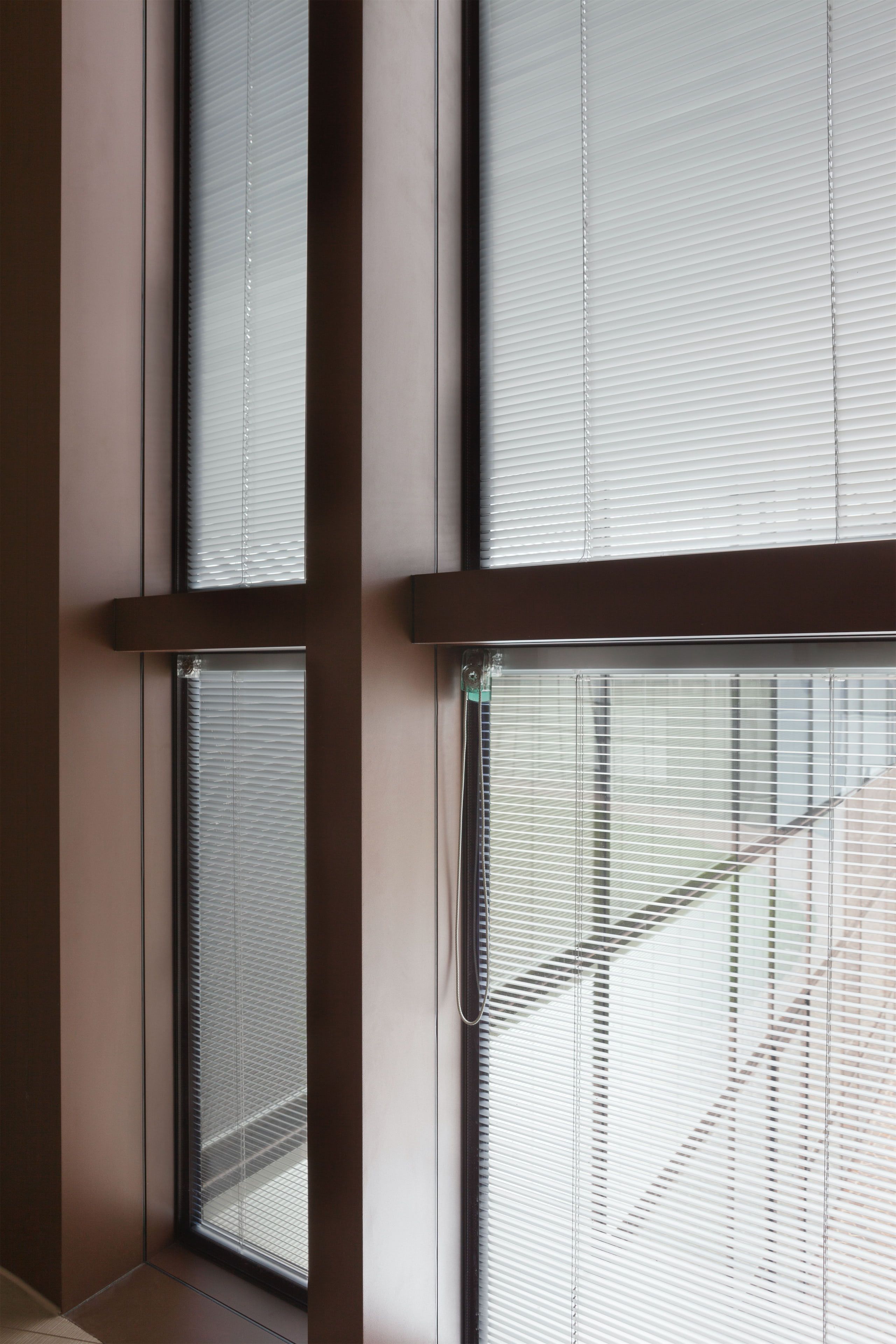 Immagine 5 - Scuola primaria di Colognola ai Colli