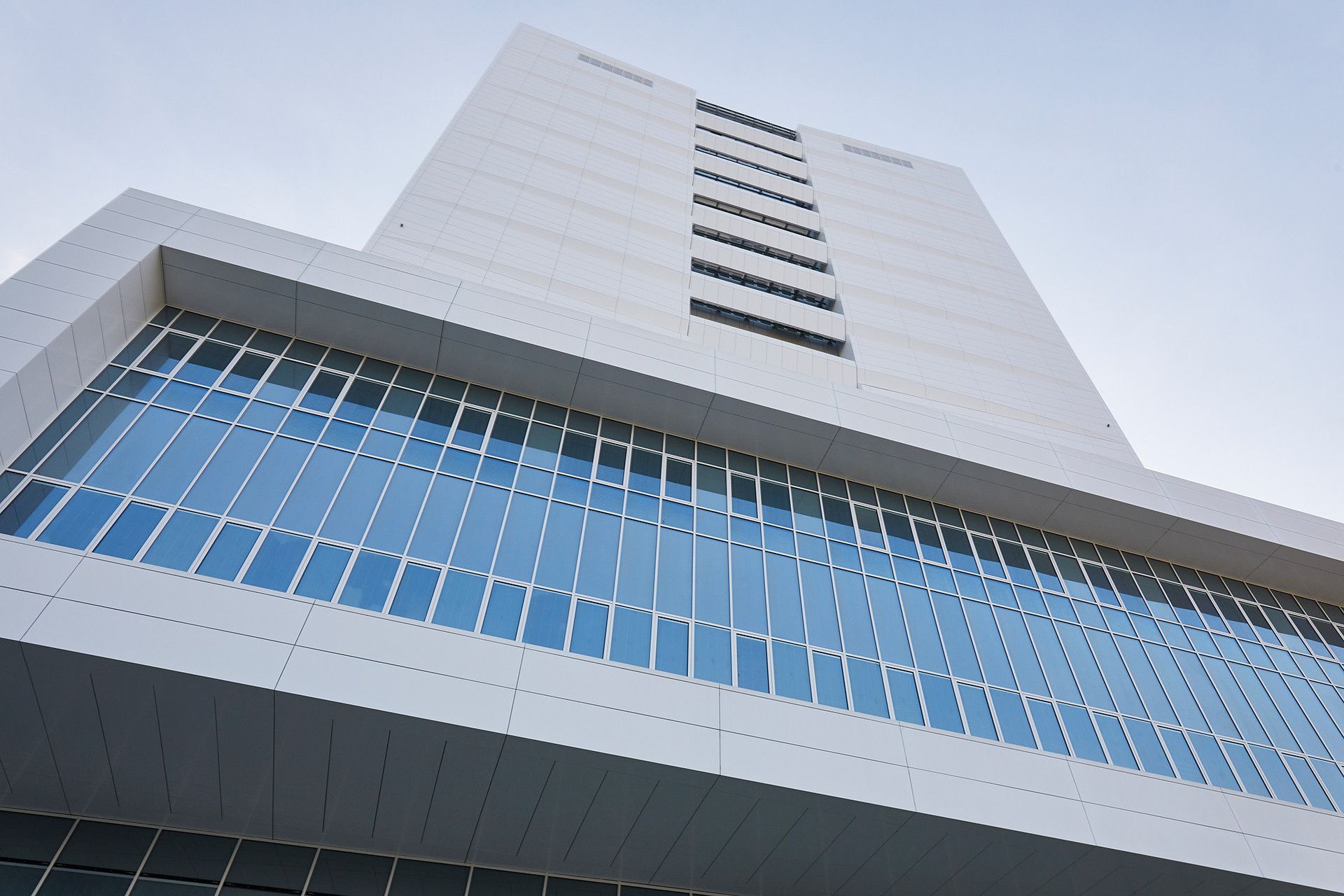 Immagine 4 - IRCCS Ospedale Galeazzi - Sant’Ambrogio